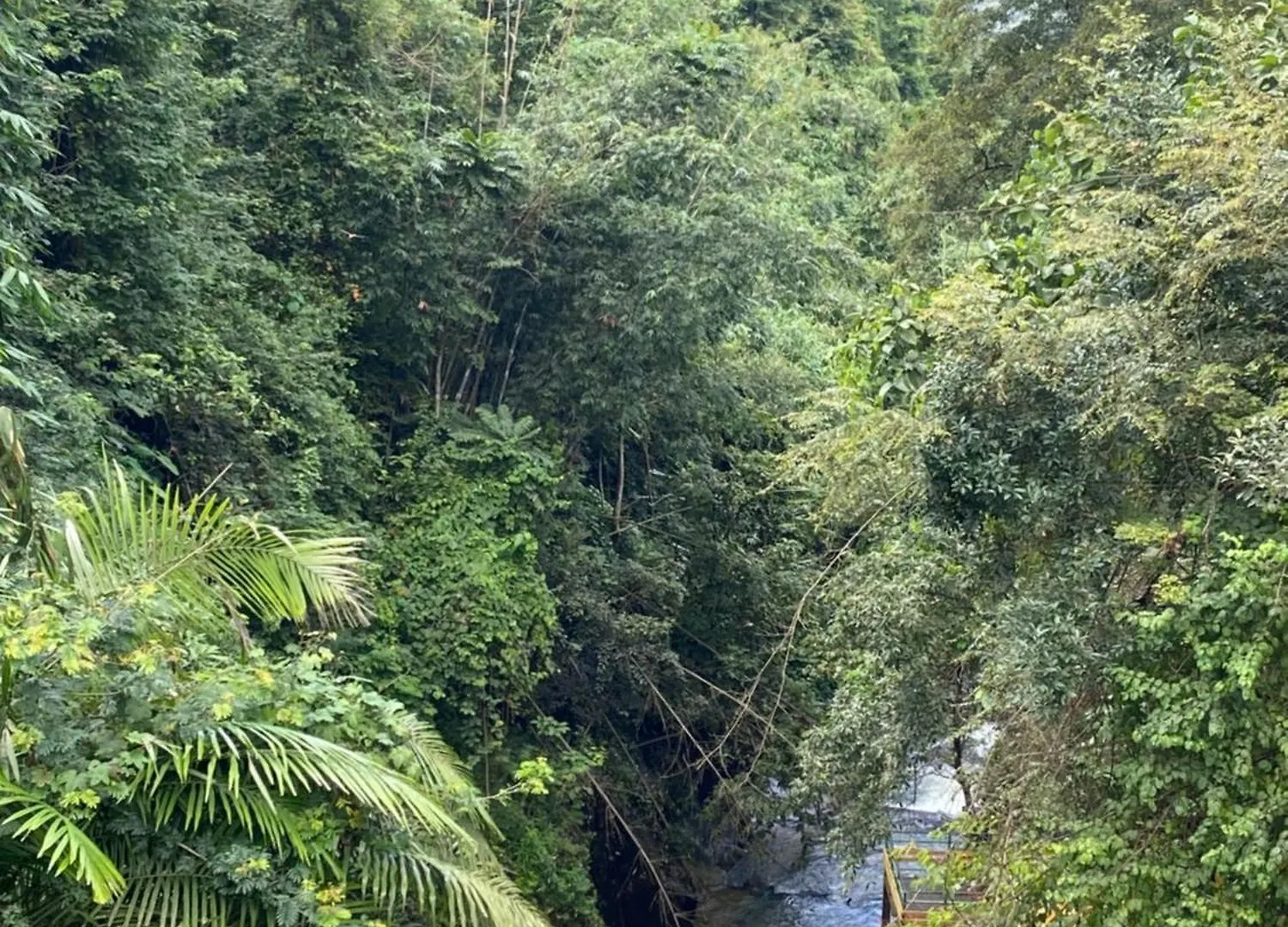 Mathikettan Escapes Tent Camping Pooppara India